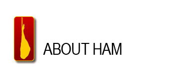 about ham
